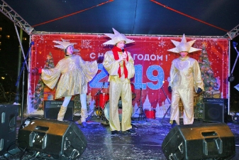 Новый год 2019_3