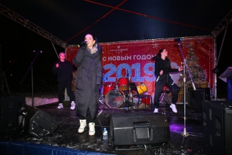 Новый год 2019_6