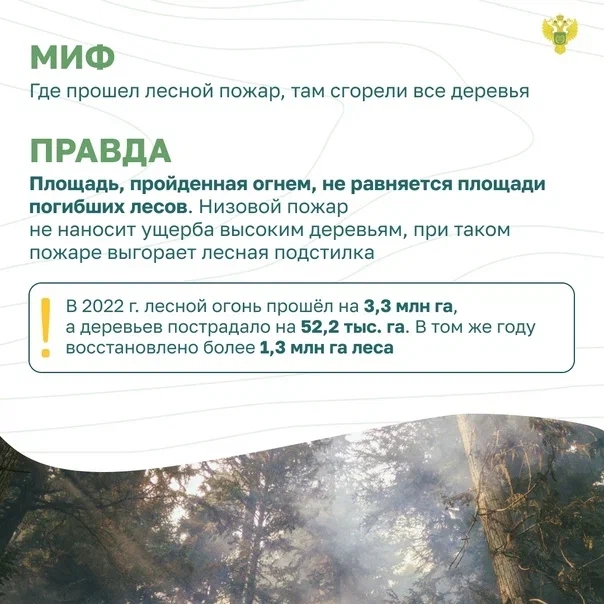 miphy2
